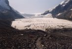 Columbia icefield