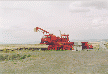 Image of a crane